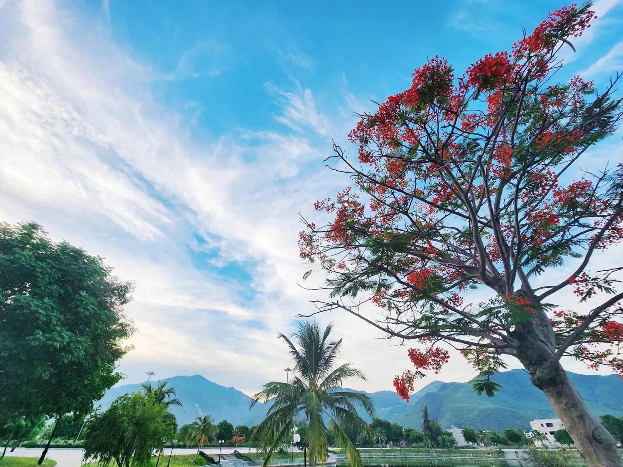 Moc Homestay- Near Bai Dai Beach Cam Lam Ngoại thất bức ảnh