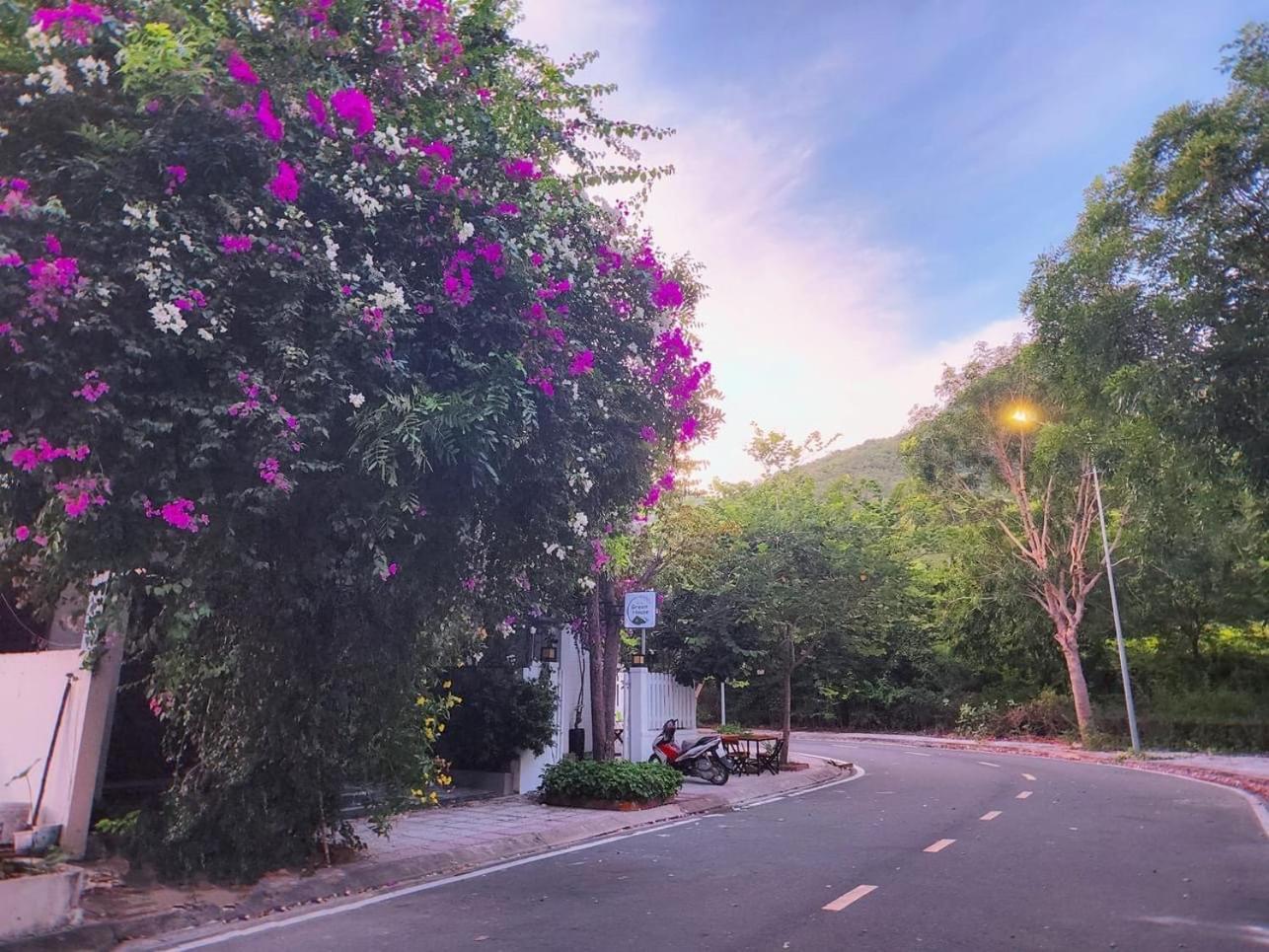 Moc Homestay- Near Bai Dai Beach Cam Lam Ngoại thất bức ảnh