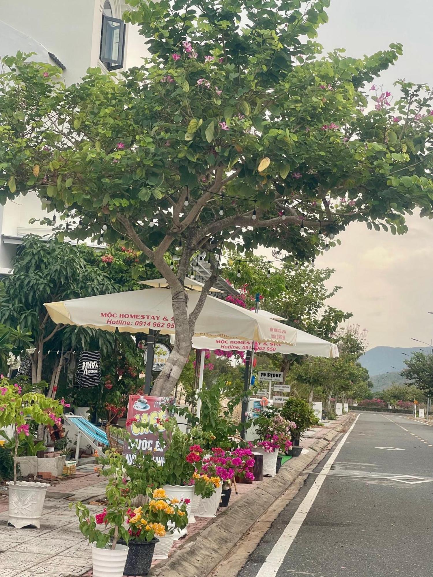 Moc Homestay- Near Bai Dai Beach Cam Lam Ngoại thất bức ảnh